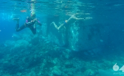 Open Sea Swimming v.3_56