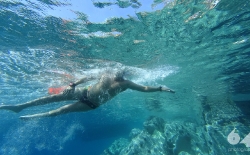 Open Sea Swimming v.3_58