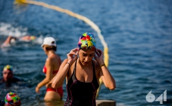 Trazition Zone_255