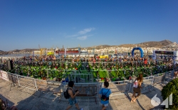 Trazition Zone_394