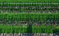 Transition Zone v.2