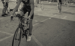 transition Zone v2_95